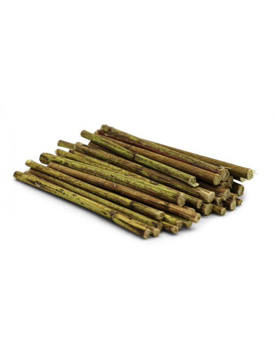 Młode pędy topinamburu Dr Rodents 100g