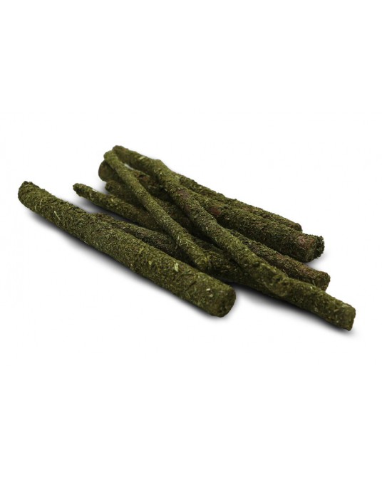 Młode pędy leszczyny Dr Rodents z pietruszką 50g