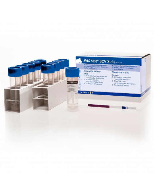 FASTest® BCV Strip,10 pasków (cielęta)