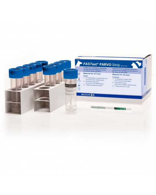 Zestaw testowy FASTest® PARVO Strip